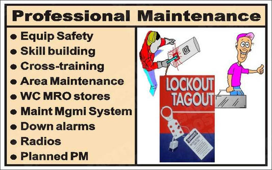 Professional Maintenance - Key Focus Areas